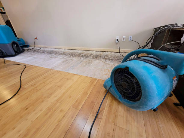 Professional Sewage Cleanup technician working in Archbold, OH